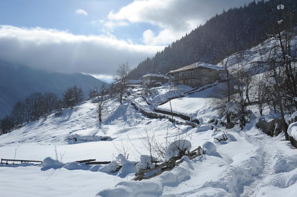 Guest House Murkvam Tvebishi 외부 사진